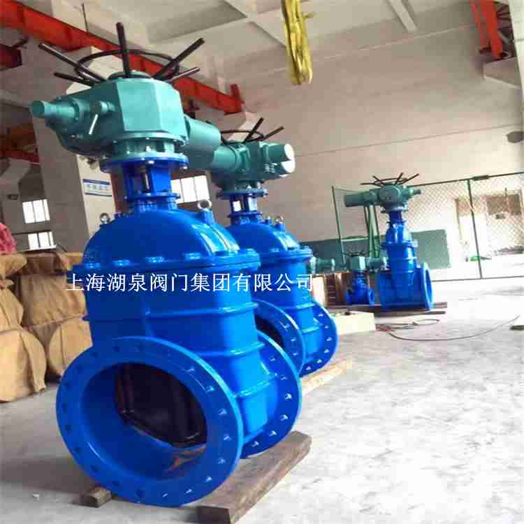 dn50電動(dòng)閥門(mén)