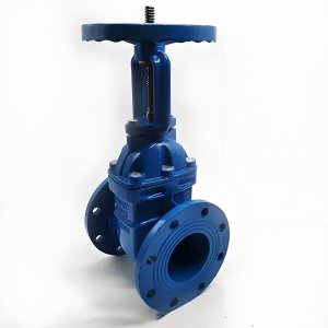 手動閘閥Z41T-16 DN50/DN65廠家直銷，上海發